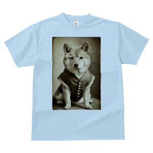 Č TVc fB[X t@  t  vg JWA 킢 lԗp h ̃fUC ʔ g Č Be[W 