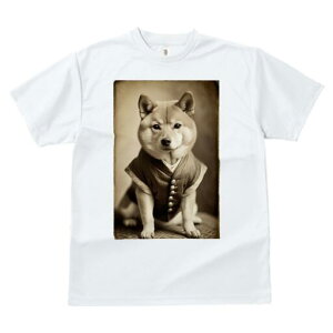 Č TVc fB[X t@  t  vg JWA 킢 lԗp h ̃fUC ʔ g Č Be[W 