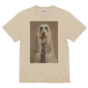 AtKnEh TVc fB[X t@  t  vg JWA 킢 lԗp h ̃fUC ʔ lN^C AtKnEh ዾ