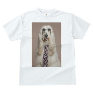 AtKnEh TVc fB[X t@  t  vg JWA 킢 lԗp h ̃fUC ʔ lN^C AtKnEh ዾ