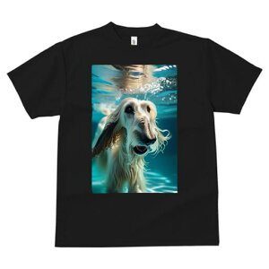 AtKnEh TVc fB[X t@  t  vg JWA 킢 lԗp h ̃fUC ʔ  AtKnEh 