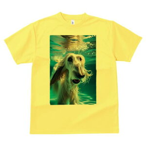 AtKnEh TVc fB[X t@  t  vg JWA 킢 lԗp h ̃fUC ʔ  AtKnEh 