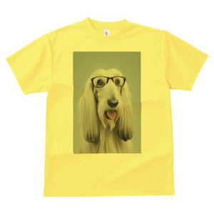 AtKnEh TVc fB[X t@  t  vg JWA 킢 lԗp h ̃fUC ʔ Kl AtKnEh