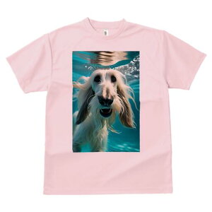 AtKnEh TVc fB[X t@  t  vg JWA 킢 lԗp h ̃fUC ʔ  AtKnEh 