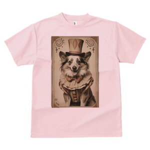 R[M[ TVc fB[X t@  t  vg JWA 킢 lԗp h ̃fUC ʔ sG R[M[ Xq T[JX g