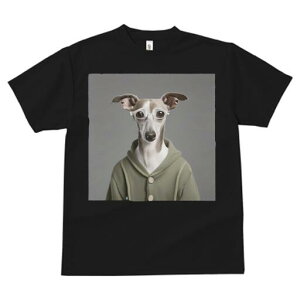 C^AO[nEh TVc Y LbY t@  t  vg JWA 킢 lԗp h ̃fUC ʔ Kl C^AO[nEh 