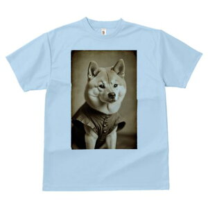 Č TVc fB[X t@  t  vg JWA 킢 lԗp h ̃fUC ʔ g Č Be[W 