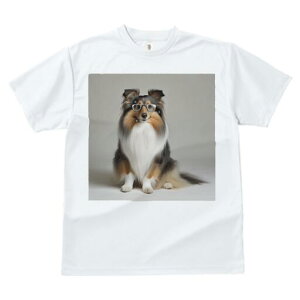 VFbghV[vhbO TVc fB[X t@  t  vg JWA 킢 lԗp h ̃fUC ʔ Kl VFbghV[vhbO