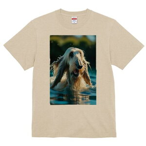 AtKnEh TVc fB[X t@  t  vg JWA 킢 lԗp h ̃fUC ʔ  AtKnEh Ԃ