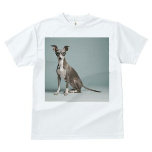 C^AO[nEh TVc Y LbY t@  t  vg JWA 킢 lԗp h ̃fUC ʔ Kl C^AO[nEh