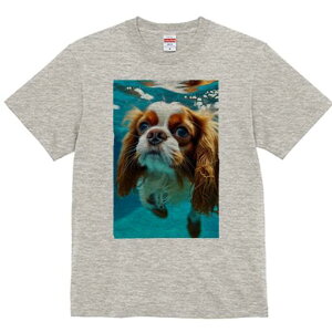 LoA TVc fB[X t@  t  vg JWA 킢 lԗp h ̃fUC ʔ  LoA 