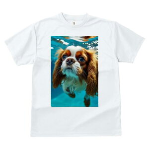 LoA TVc fB[X t@  t  vg JWA 킢 lԗp h ̃fUC ʔ  LoA 