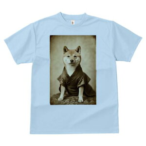 Č TVc fB[X t@  t  vg JWA 킢 lԗp h ̃fUC ʔ  Č