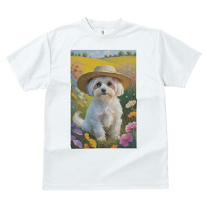 }`[Y TVc fB[X t@  t  vg JWA 킢 lԗp h ̃fUC ʔ Xq }`[Y  