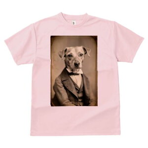 WbNbZeA TVc fB[X t@  t  vg JWA 킢 lԗp h ̃fUC ʔ X[c WbNbZeA ё B