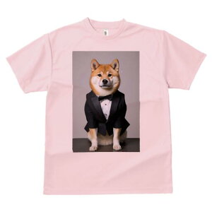 Č TVc fB[X t@  t  vg JWA 킢 lԗp h ̃fUC ʔ ^LV[h Č lN^C tH[}EFA