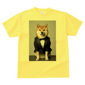 Č TVc fB[X t@  t  vg JWA 킢 lԗp h ̃fUC ʔ ^LV[h Č lN^C tH[}EFA