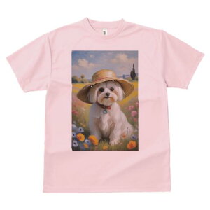 }`[Y TVc fB[X t@  t  vg JWA 킢 lԗp h ̃fUC ʔ Xq }`[Y Ԕ  ci