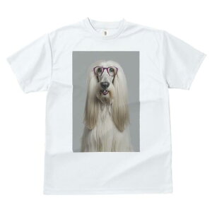 AtKnEh TVc fB[X t@  t  vg JWA 킢 lԗp h ̃fUC ʔ Kl AtKnEh