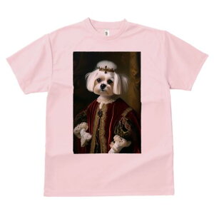 }`[Y TVc fB[X t@  t  vg JWA 킢 lԗp h ̃fUC ʔ  }`[Y  ߑ hX