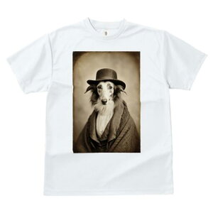 {]C TVc fB[X t@  t  vg JWA 킢 lԗp h ̃fUC ʔ Xq {]C 