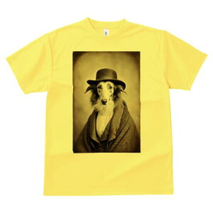 {]C TVc fB[X t@  t  vg JWA 킢 lԗp h ̃fUC ʔ Xq {]C 