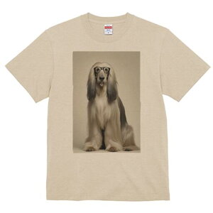 AtKnEh TVc fB[X t@  t  vg JWA 킢 lԗp h ̃fUC ʔ Kl AtKnEh