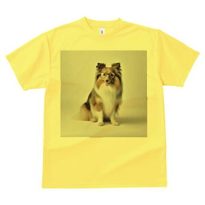 VFbghV[vhbO TVc Y LbY t@  t  vg JWA 킢 lԗp h ̃fUC ʔ Kl VFbghV[vhbO