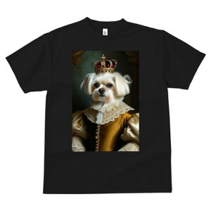 }`[Y TVc fB[X t@  t  vg JWA 킢 lԗp h ̃fUC ʔ  }`[Y [X ߑ ё