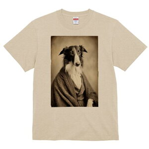 {]C TVc fB[X t@  t  vg JWA 킢 lԗp h ̃fUC ʔ ё {]C Be[W g AeB[N