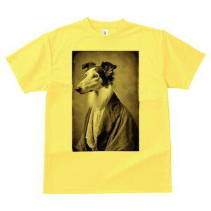 {]C TVc fB[X t@  t  vg JWA 킢 lԗp h ̃fUC ʔ ё {]C 