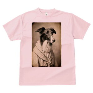 {]C TVc fB[X t@  t  vg JWA 킢 lԗp h ̃fUC ʔ AeB[N {]C g Be[W t@bV