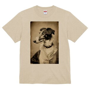 {]C TVc fB[X t@  t  vg JWA 킢 lԗp h ̃fUC ʔ AeB[N {]C g ߑ 