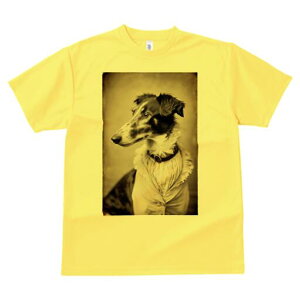 {]C TVc fB[X t@  t  vg JWA 킢 lԗp h ̃fUC ʔ AeB[N {]C g ߑ 