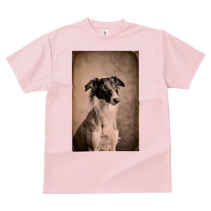 {]C TVc fB[X t@  t  vg JWA 킢 lԗp h ̃fUC ʔ AeB[N {]C Be[W g