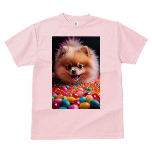 |jA TVc fB[X t@  t  vg JWA 킢 lԗp h ̃fUC ʔ LfB |jA Jt XC[c َq