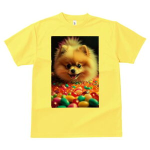 |jA TVc fB[X t@  t  vg JWA 킢 lԗp h ̃fUC ʔ LfB |jA Jt XC[c َq