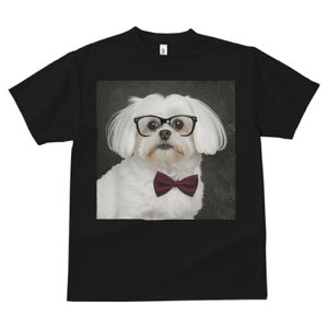 }`[Y TVc fB[X t@  t  vg JWA 킢 lԗp h ̃fUC ʔ Kl }`[Y lN^C