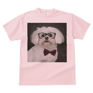 }`[Y TVc fB[X t@  t  vg JWA 킢 lԗp h ̃fUC ʔ Kl }`[Y lN^C