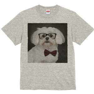 }`[Y TVc fB[X t@  t  vg JWA 킢 lԗp h ̃fUC ʔ Kl }`[Y lN^C