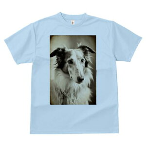 {]C TVc fB[X t@  t  vg JWA 킢 lԗp h ̃fUC ʔ AeB[N {]C Be[W ZsA