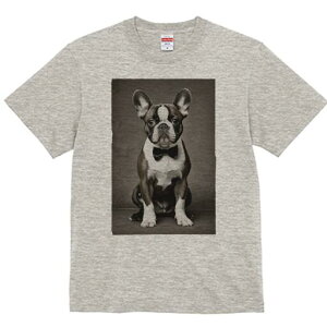 {XgeA TVc fB[X t@  t  vg JWA 킢 lԗp h ̃fUC ʔ lN^C {XgeA