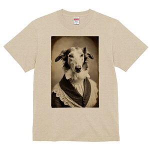 {]C TVc fB[X t@  t  vg JWA 킢 lԗp h ̃fUC ʔ AeB[N {]C g Be[W t@bV