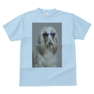 AtKnEh TVc fB[X t@  t  vg JWA 킢 lԗp h ̃fUC ʔ TOX AtKnEh