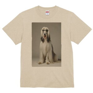 AtKnEh TVc fB[X t@  t  vg JWA 킢 lԗp h ̃fUC ʔ Kl AtKnEh