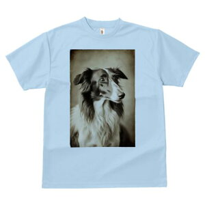 {]C TVc fB[X t@  t  vg JWA 킢 lԗp h ̃fUC ʔ {]C