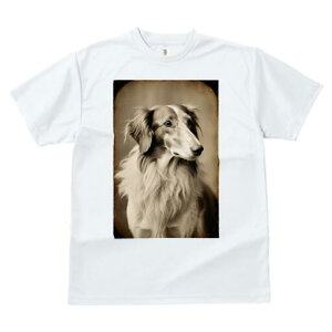 {]C TVc fB[X t@  t  vg JWA 킢 lԗp h ̃fUC ʔ {]C