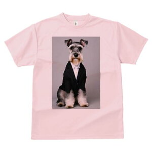 ~j`AViEU[ TVc fB[X t@  t  vg JWA 킢 lԗp h ̃fUC ʔ X[c ~j`AViEU[ Vc