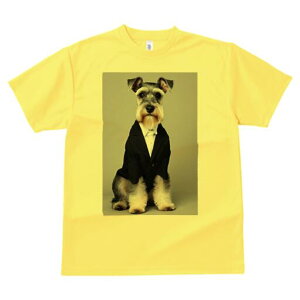 ~j`AViEU[ TVc fB[X t@  t  vg JWA 킢 lԗp h ̃fUC ʔ X[c ~j`AViEU[ Vc