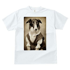 {]C TVc fB[X t@  t  vg JWA 킢 lԗp h ̃fUC ʔ hX {]C [X